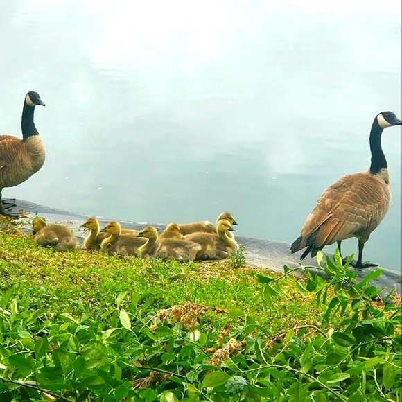 Meet your Posher, Kate - Picture 1 of 1